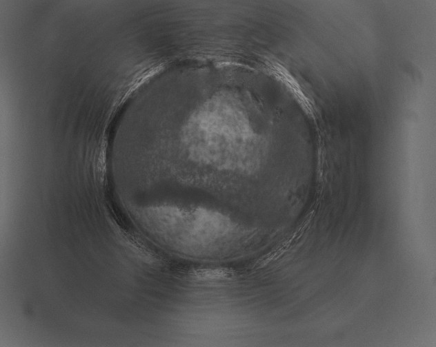 X0000116560202200912241621