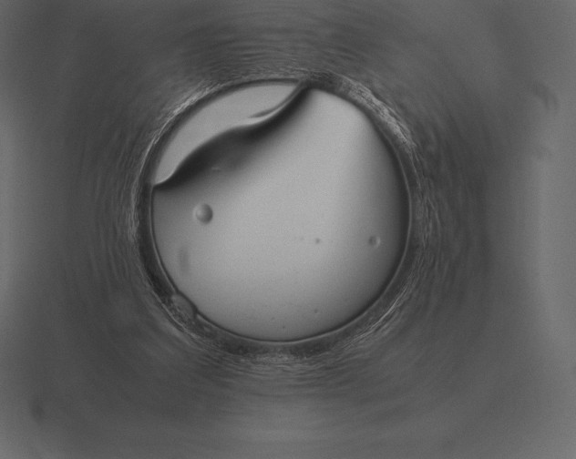 X0000116560203200912241621