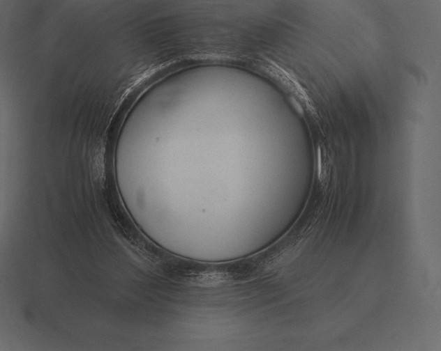 X0000116560204200912241621