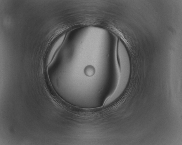 X0000116560205200912241621