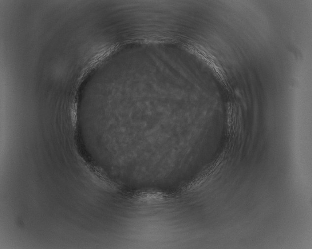 X0000116560206200912241621