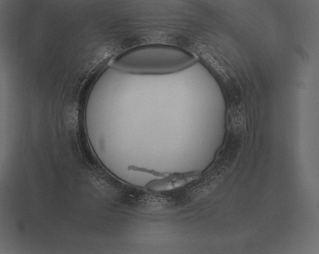 X0000116560207200912241621