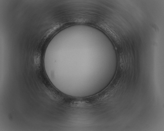 X0000116560208200912241621