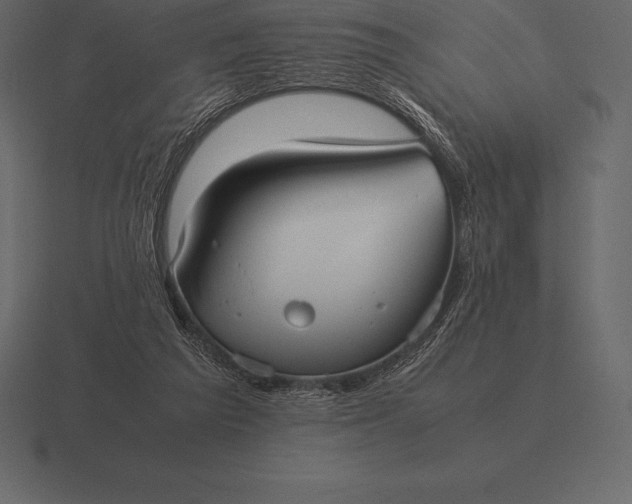 X0000116560209200912241621