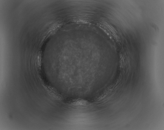 X0000116560210200912241621