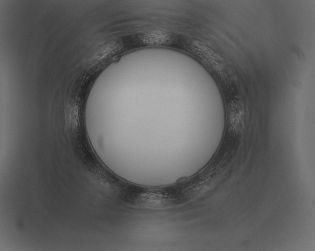 X0000116560211200912241621