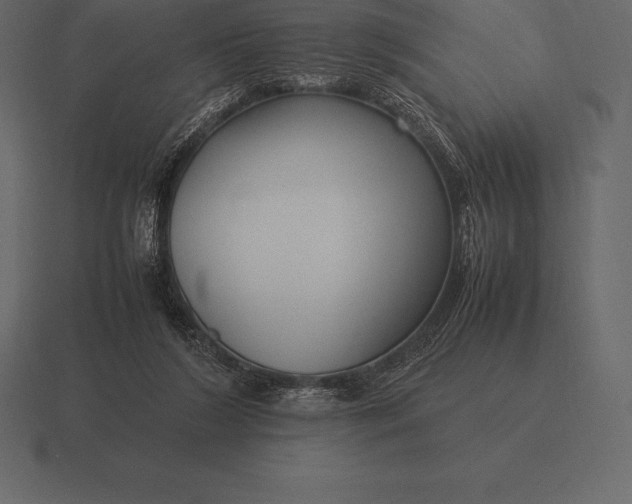 X0000116560212200912241621