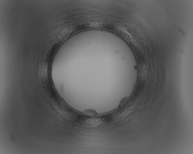 X0000116560213200912241621