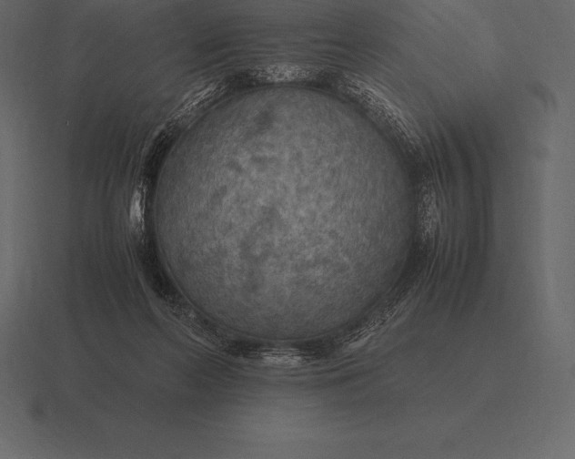 X0000116560214200912241621