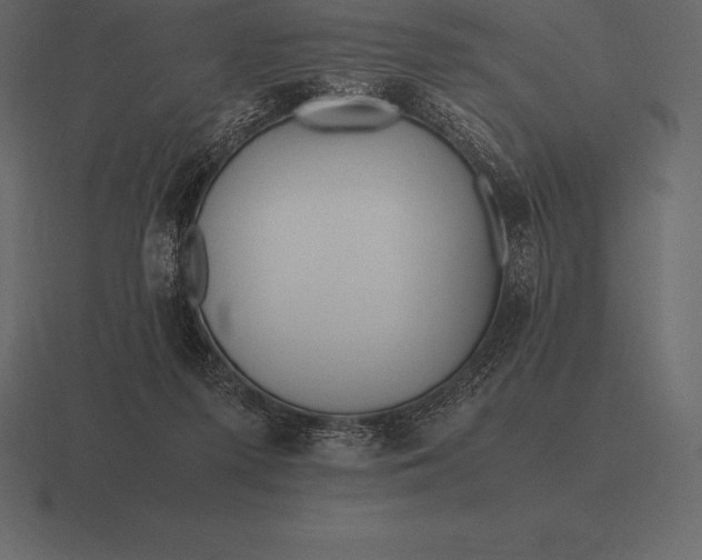 X0000116560215200912241621