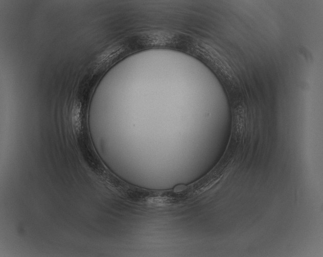 X0000116560216200912241621