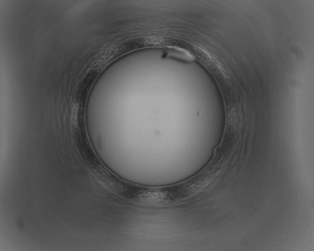 X0000116560217200912241621