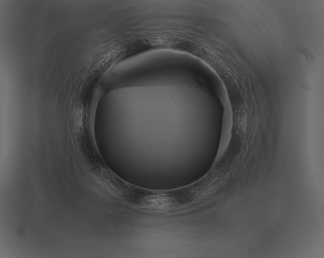 X0000116560219200912241621