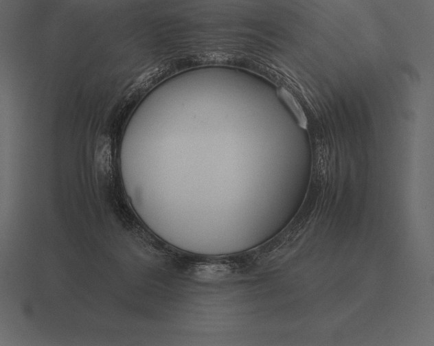 X0000116560220200912241621