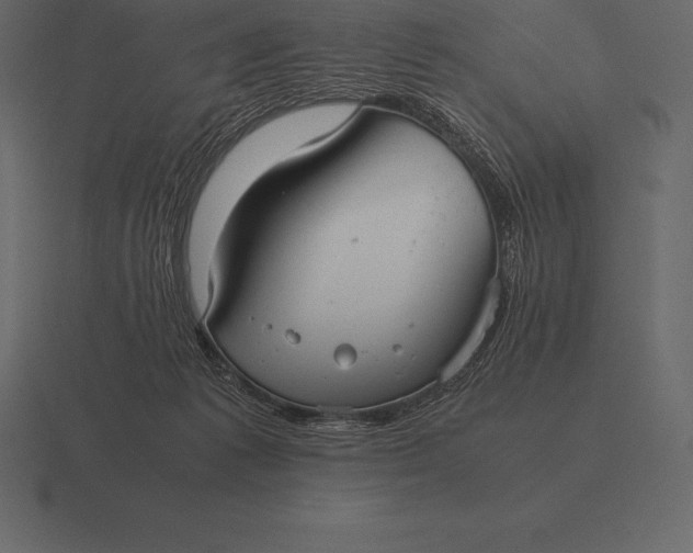 X0000116560221200912241621