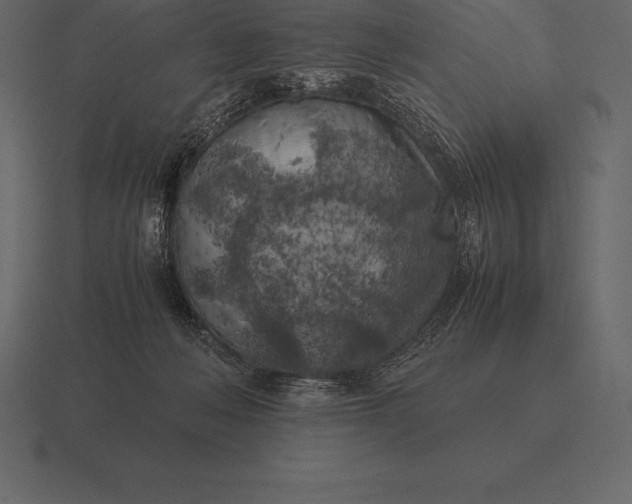 X0000116560222200912241621