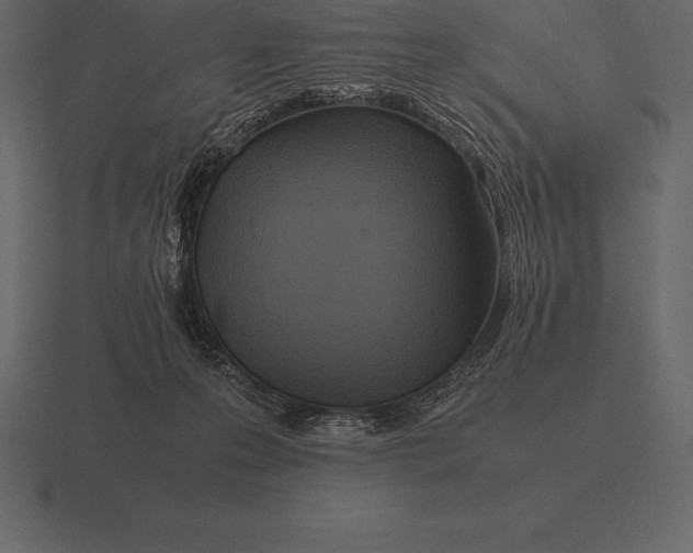 X0000116560223200912241621