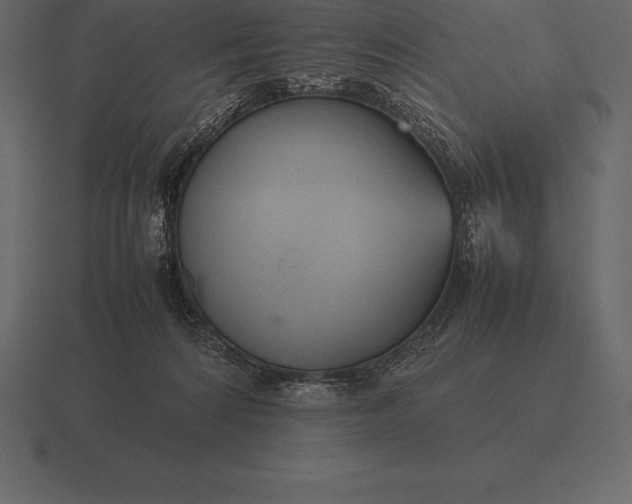 X0000116560224200912241621