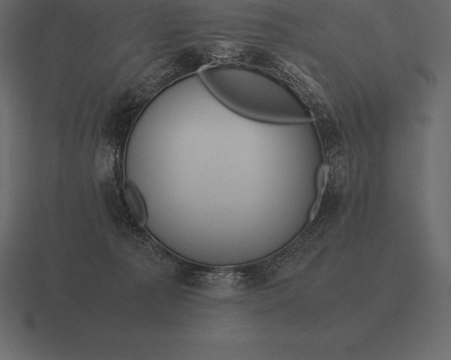 X0000116560225200912241621