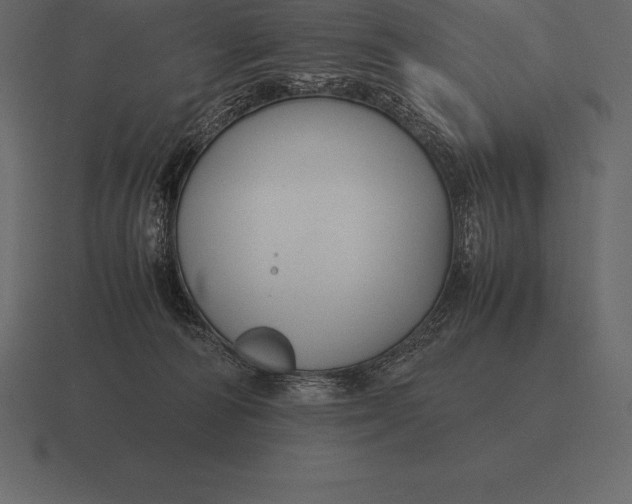 X0000116560226200912241621