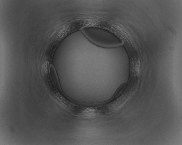 X0000116560227200912241621