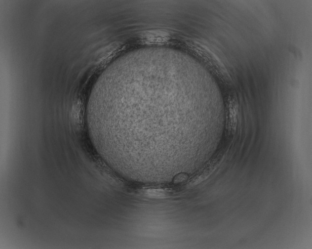 X0000116560228200912241621