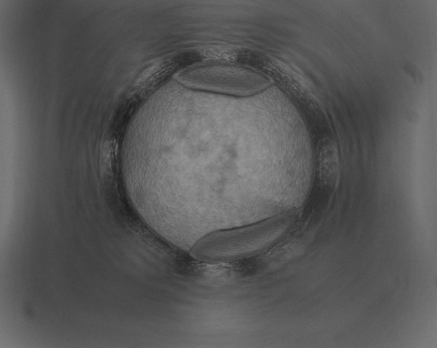 X0000116560229200912241621