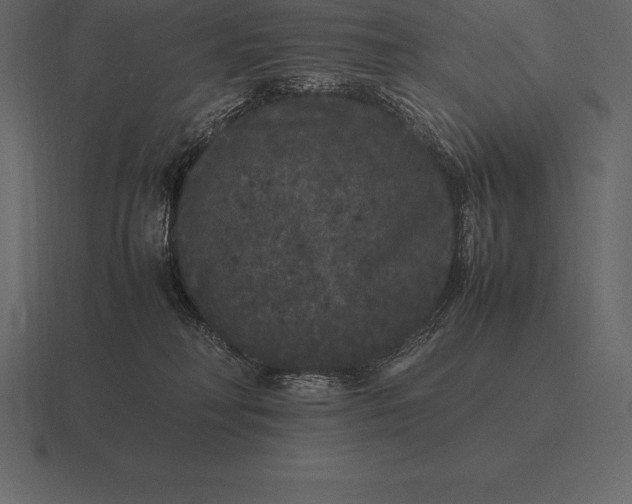 X0000116560230200912241621