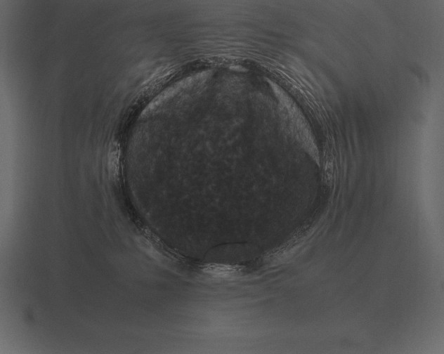 X0000116560231200912241621