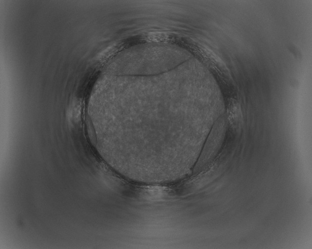 X0000116560233200912241621