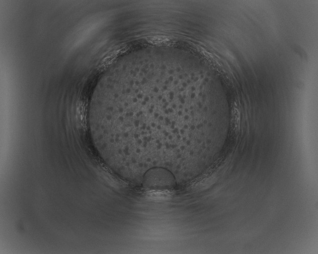 X0000116560234200912241621