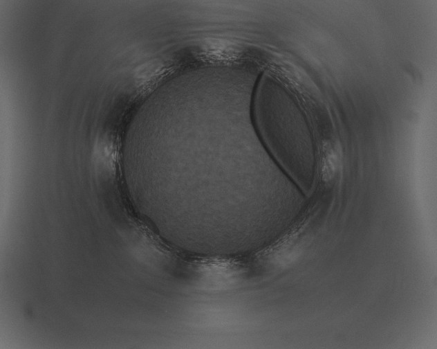 X0000116560235200912241621