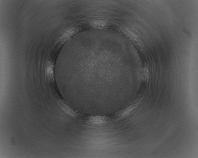 X0000116560238200912241621