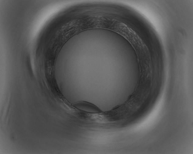 X0000116560239200912241621