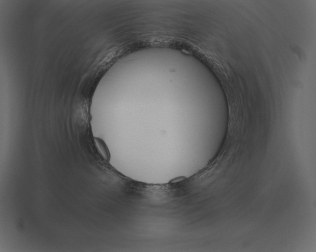 X0000116560240200912241621