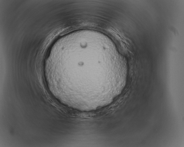 X0000116560241200912241620