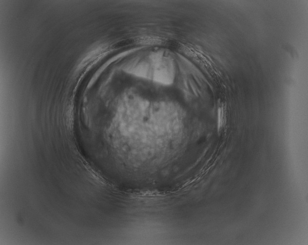 X0000116560243200912241620