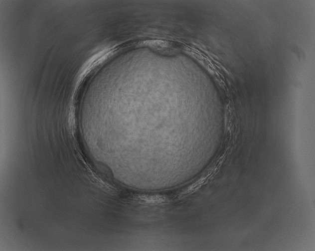 X0000116560245200912241620