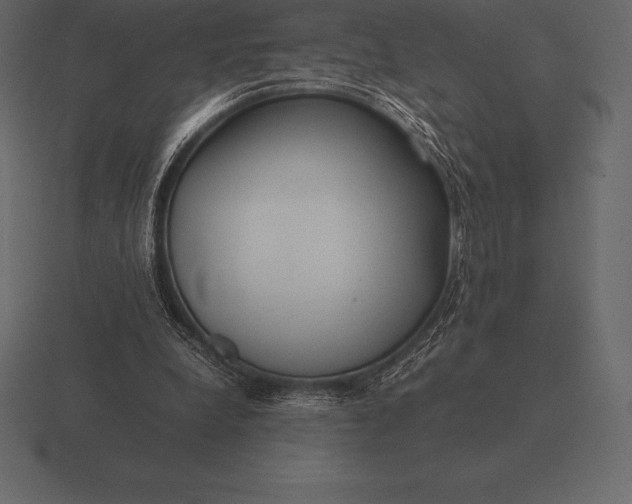 X0000116560248200912241620