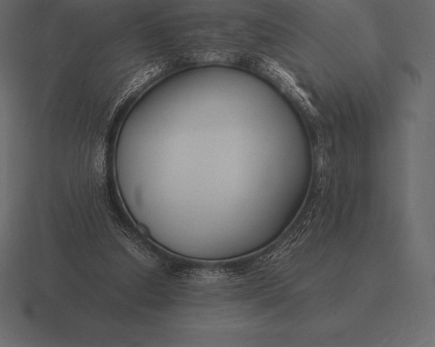 X0000116560250200912241620