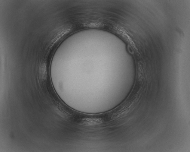 X0000116560251200912241620