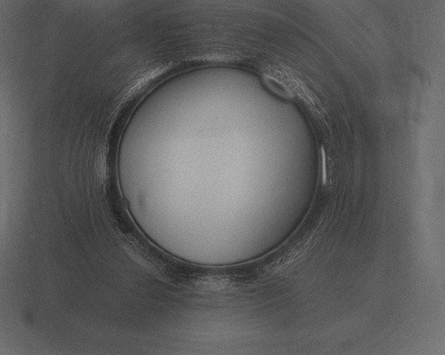 X0000116560252200912241620