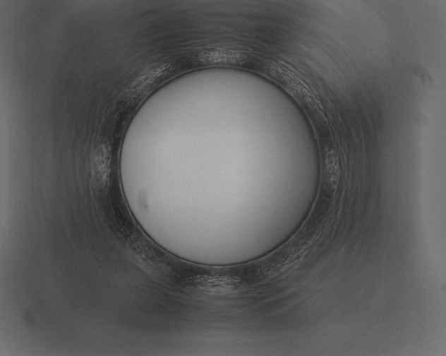 X0000116560255200912241620