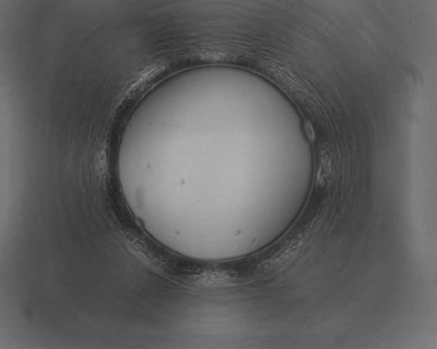 X0000116560256200912241620