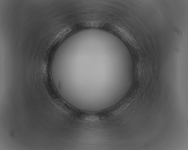 X0000116560258200912241620