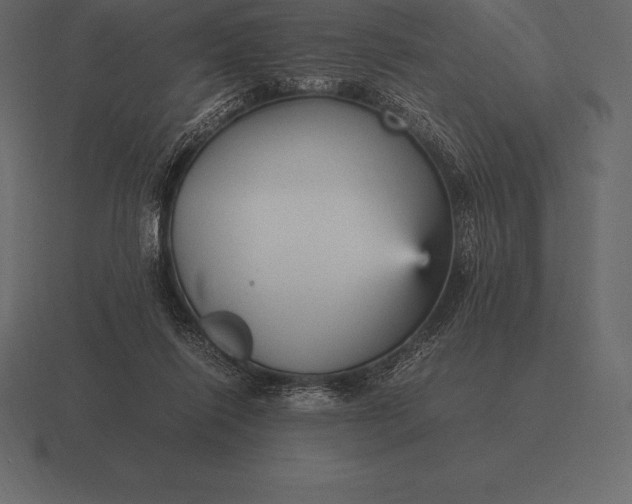 X0000116560262200912241620