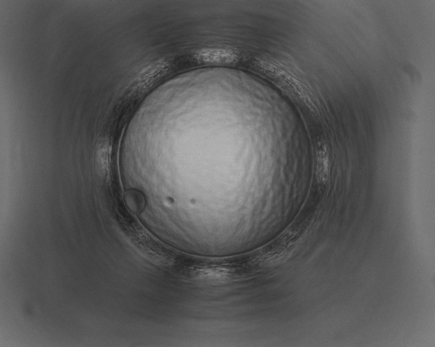 X0000116560263200912241620