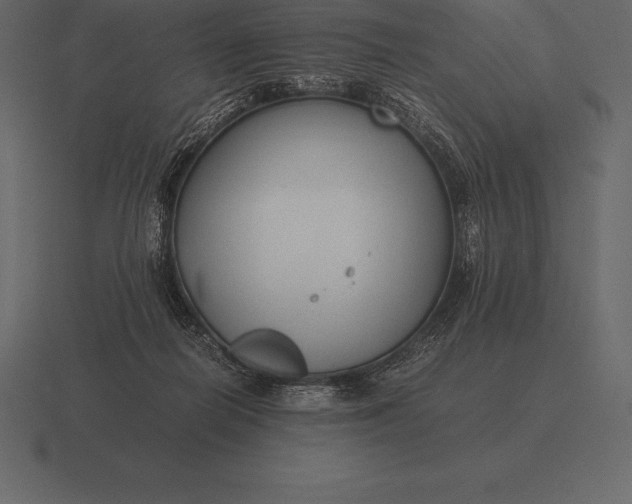 X0000116560266200912241620