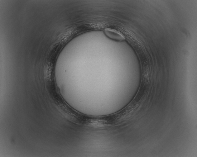 X0000116560268200912241620