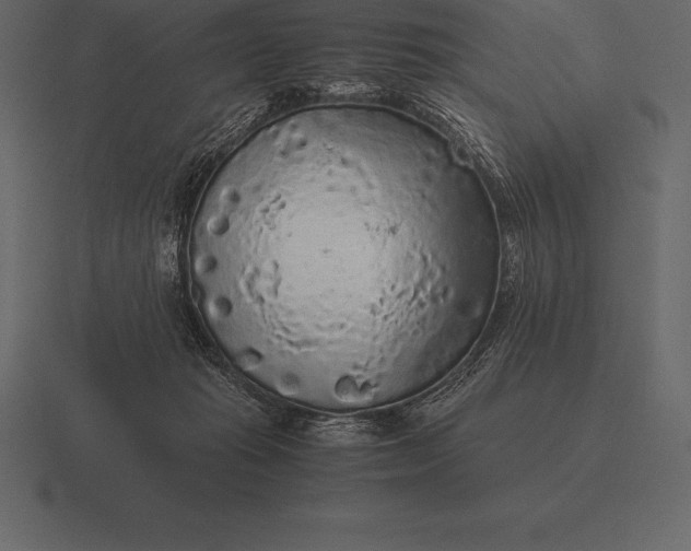 X0000116560269200912241620